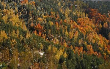 The beauty of Eastern Rhodopes