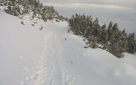 “Mountains and People” Association’s snowshoe hike in Rila 