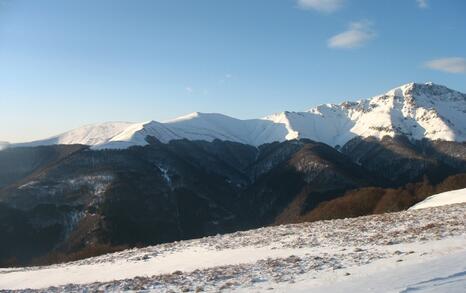 Winter 5-day hike of tourist club 'Prista'-Ruse and friends of the ForTheNature Coalition in Central Balkan National Park