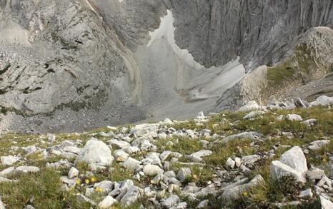 Views from Pirin National Park