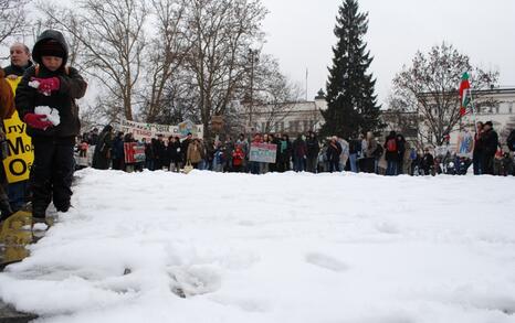 March against GMO release in Bulgaria – 31.01.2010, Sofia