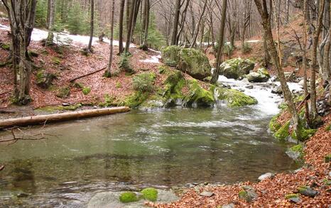 Winter 5-day hike of tourist club 'Prista'-Ruse and friends of the ForTheNature Coalition in Central Balkan National Park