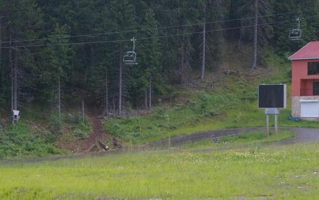 In National Park Pirin tree felling for the illegal construction of a new lift in the Bansko ski zone has started