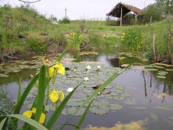 Защитени ли са защитените територии в България и Европа?