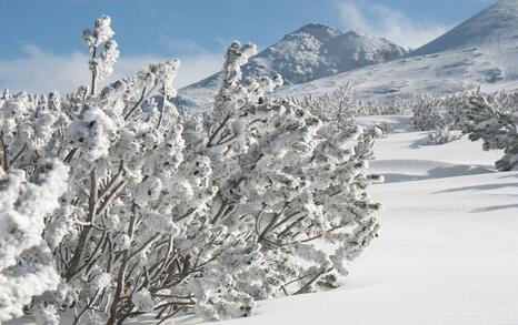 “Mountains and People” Association’s snowshoe hike in Rila 