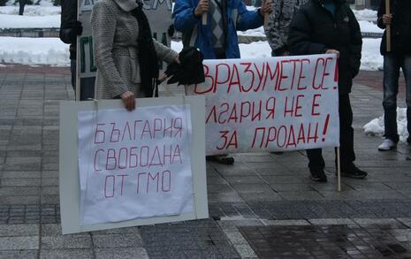 Plovdiv - Protest against GMO release in Bulgaria - 11.02.2010