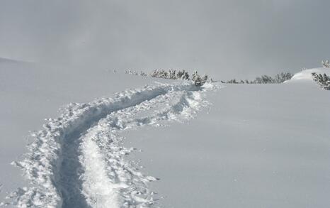 “Mountains and People” Association’s snowshoe hike in Rila 