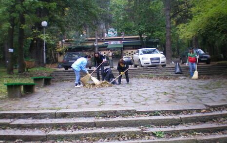 The “For Knyajevo” Network beautified the pine forest near the district