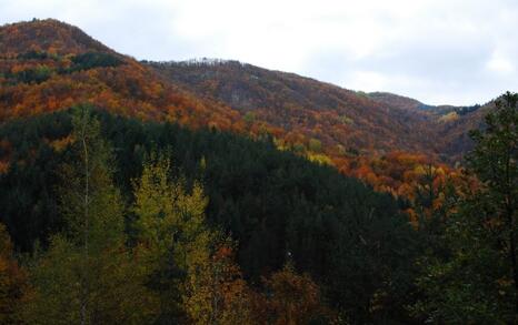 The beauty of Eastern Rhodopes