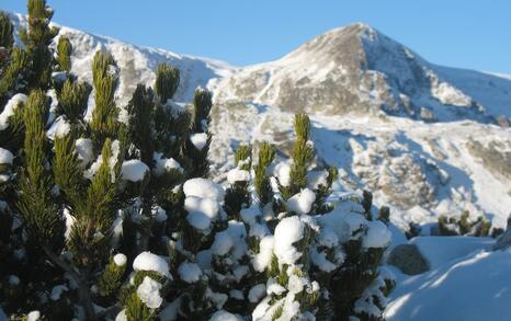 The landscape beneath the Seven Rila Lakes - 06.12.09