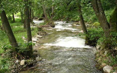 Traveling and discussing tourism in the region of Mesta and Dobrinishte