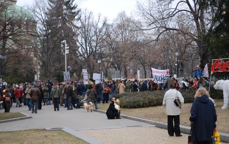 ПРОТЕСТ- Да спрем нашествието на ГМО в България, 13.01.2010