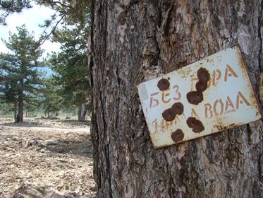  The coalition of NGOs and civic groups 'For the Nature in Bulgaria' participated in field visits to logging in Public hunting area 'Mazalat' where severe irregularities were revealed