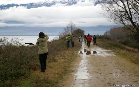 Bird watching trip to Kerkini, Greece, 19-20 December 2009