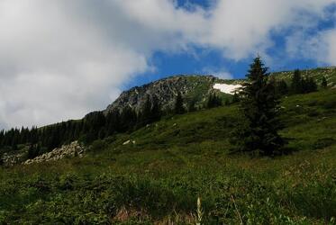 Vitosha is in danger - The oldest Nature Park on the Balkan Peninsula may become a ski resort