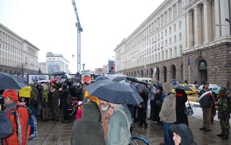 Sofia – Protest against GMO release in Bulgaria - 11.02.2010