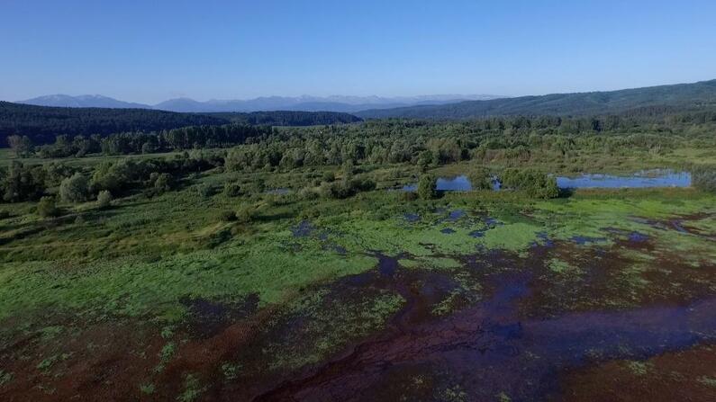 Two films inspired by Bulgarian nature at the Sofia International Film Festival