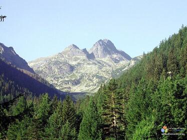 Land exchange in Rila - Maliovitza