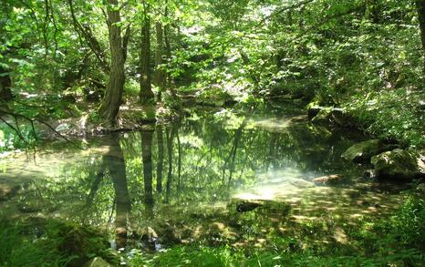 Nature park 'Strandzha', Bulgaria