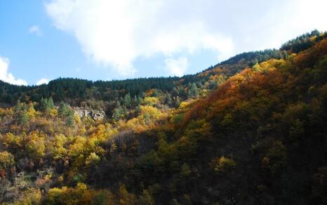 The beauty of Eastern Rhodopes