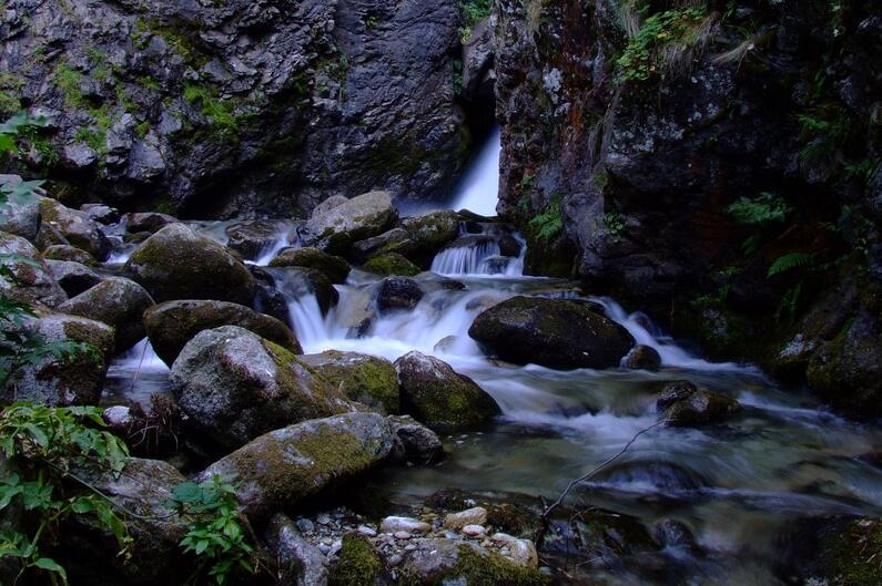 Online broadcast of a meeting for the river basin management plans 