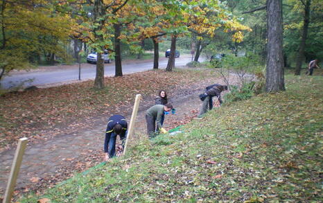 The “For Knyajevo” Network beautified the pine forest near the district