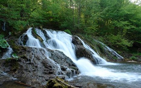 Nature park 'Strandzha', Bulgaria