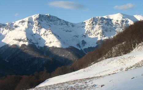 Winter 5-day hike of tourist club 'Prista'-Ruse and friends of the ForTheNature Coalition in Central Balkan National Park