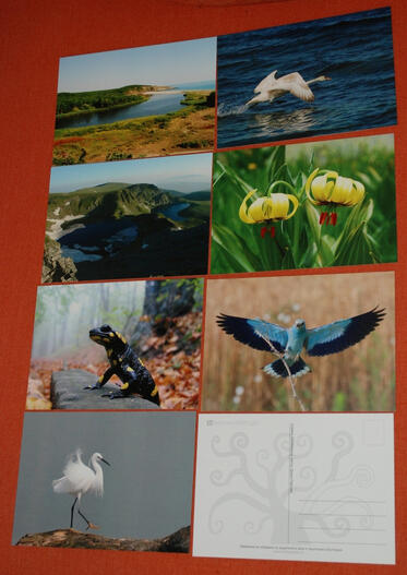 Postcards of coalition 'For The Nature'