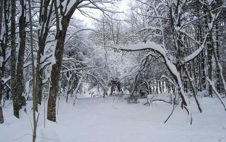 Strandja Nature Park 15 years old