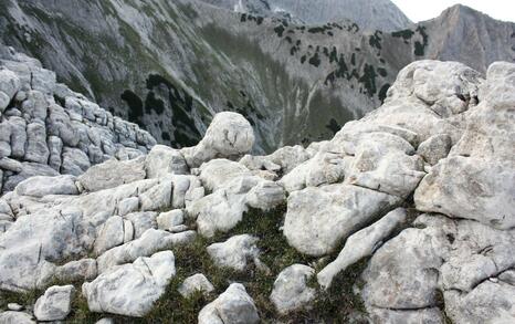 Views from Pirin National Park