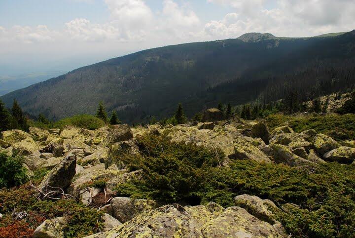 A management plan is being prepared secretly, which will allow construction in Vitosha Mountain