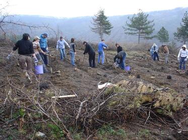 Засади живот - Залесяване с деца от домове край Стара Загора