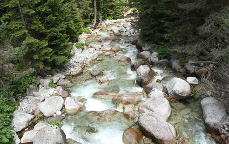 Views from Pirin National Park