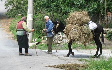 Traveling and discussing tourism in the region of Mesta and Dobrinishte