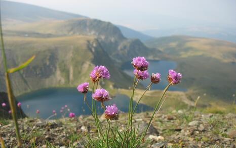 Actions on the 19-th and the 22-nd of august 2008 in Rila mountians