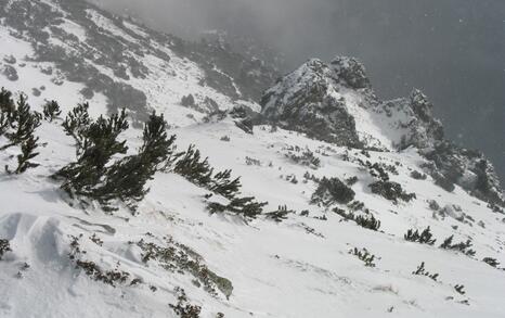 “Mountains and People” Association’s snowshoe hike in Rila 