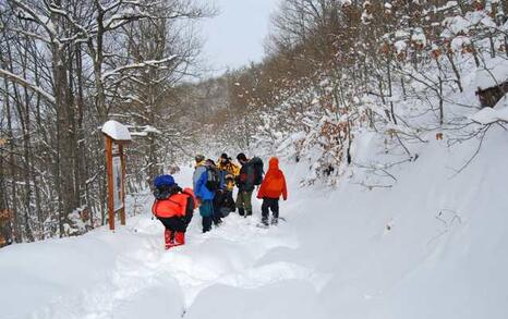 Strandja Nature Park 15 years old