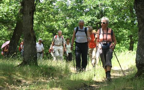 Nature park 'Strandzha', Bulgaria