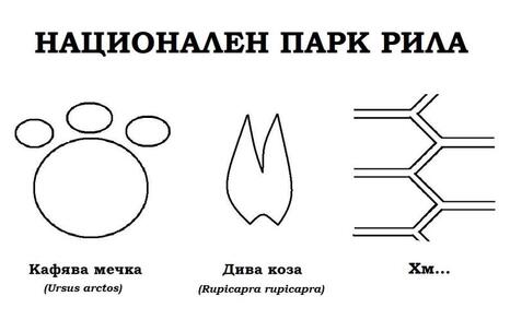 Предложения за дизайн на тениски за природата