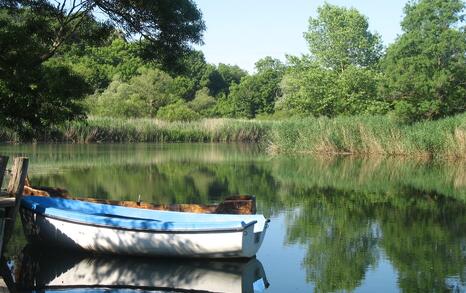 Nature park 'Strandzha', Bulgaria