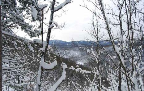 Strandja Nature Park 15 years old