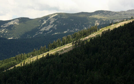 Views from Pirin National Park