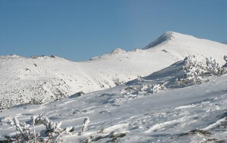 “Mountains and People” Association’s snowshoe hike in Rila 