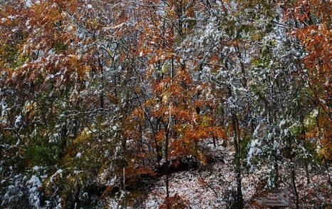 The beauty of Eastern Rhodopes