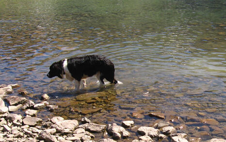 Beach-bathing at the Seven Rila Lakes