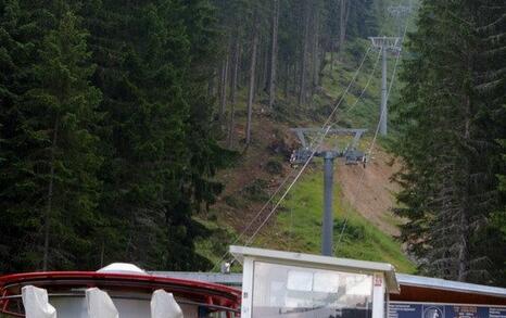 In National Park Pirin tree felling for the illegal construction of a new lift in the Bansko ski zone has started