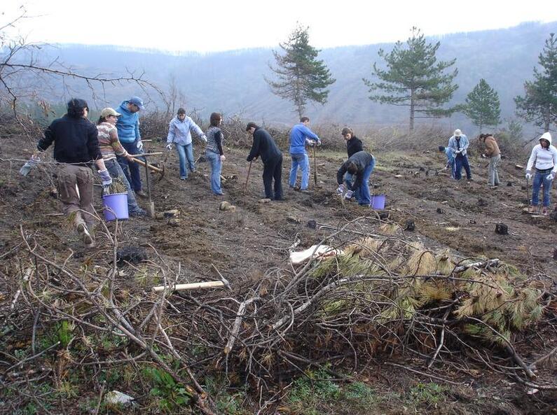 Засади живот - Залесяване с деца от домове край Стара Загора