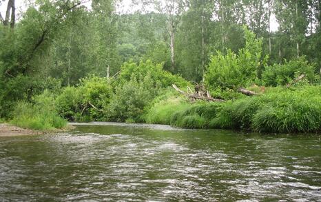 Nature park 'Strandzha', Bulgaria