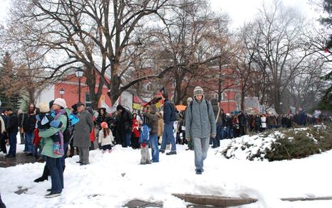 March against GMO release in Bulgaria – 31.01.2010, Sofia